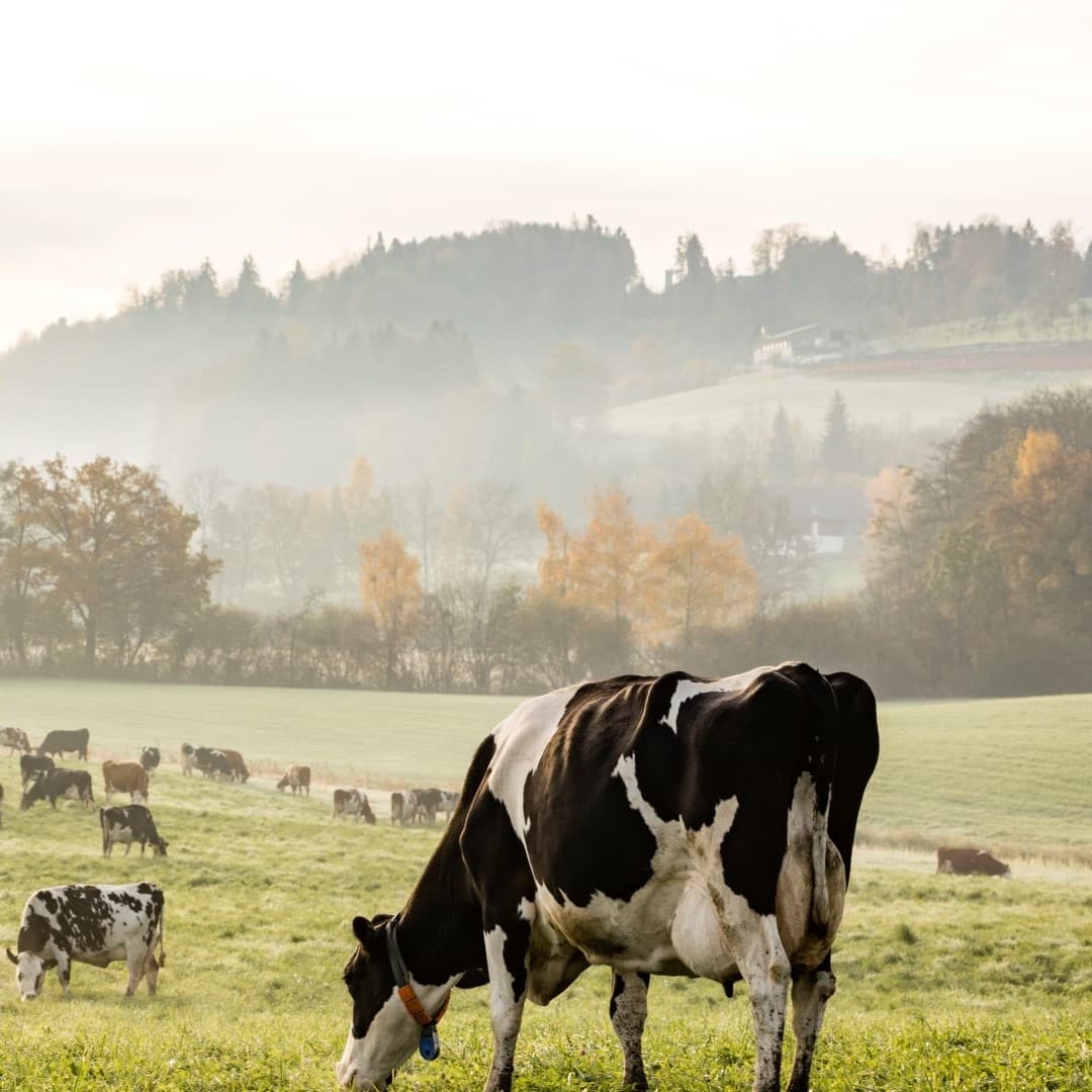 Sharing-Plattform für Landwirtschaftsdaten